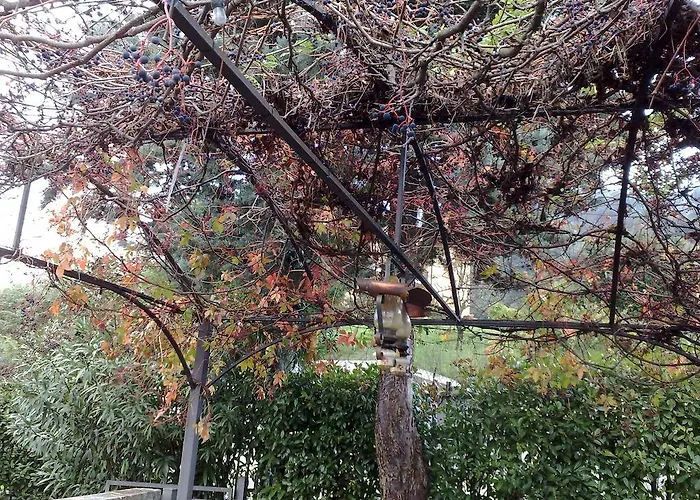 Bed and Breakfast Stefy Ντέρβιο