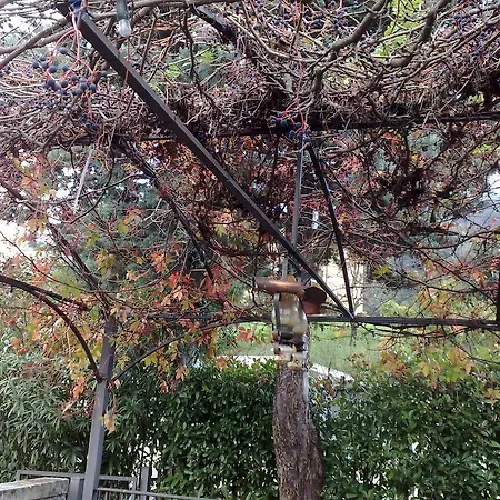 Bed & Breakfast Stefy Dervio